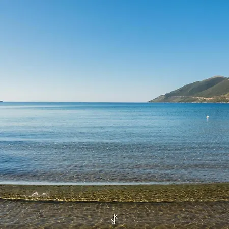 Chara House スコウタリオン